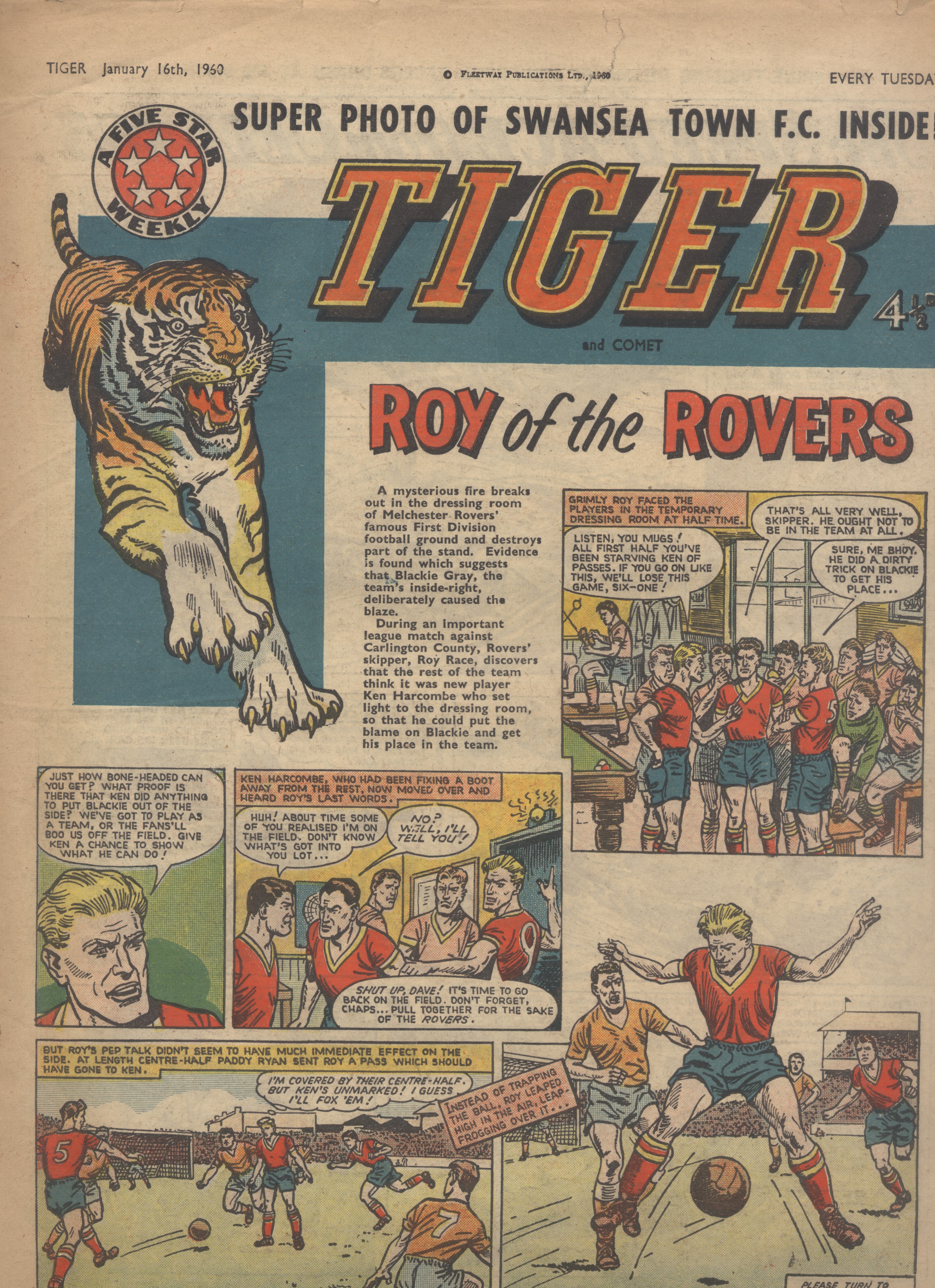 Tiger